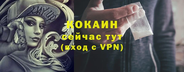Альфа ПВП Няндома