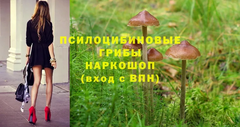 Галлюциногенные грибы MAGIC MUSHROOMS  Саров 