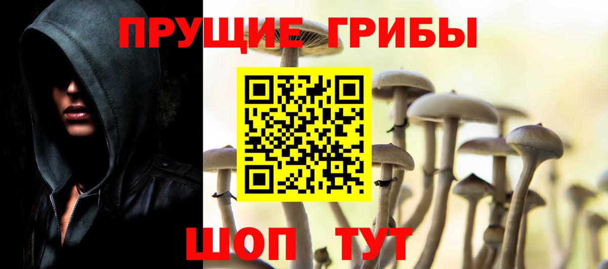 Псилоцибиновые грибы прущие грибы Саров